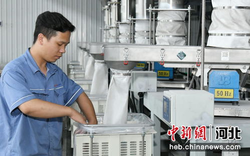 河北任丘 科技賦能企業提檔升級，新材料技術研發引領產業新變革